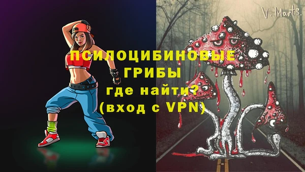 мяу мяу мука Аркадак