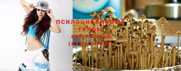 ПСИЛОЦИБИНОВЫЕ ГРИБЫ Баксан