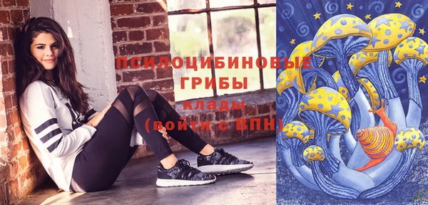мяу мяу мука Аркадак