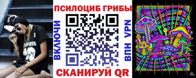 закладки  Аша  Псилоцибиновые грибы мицелий 