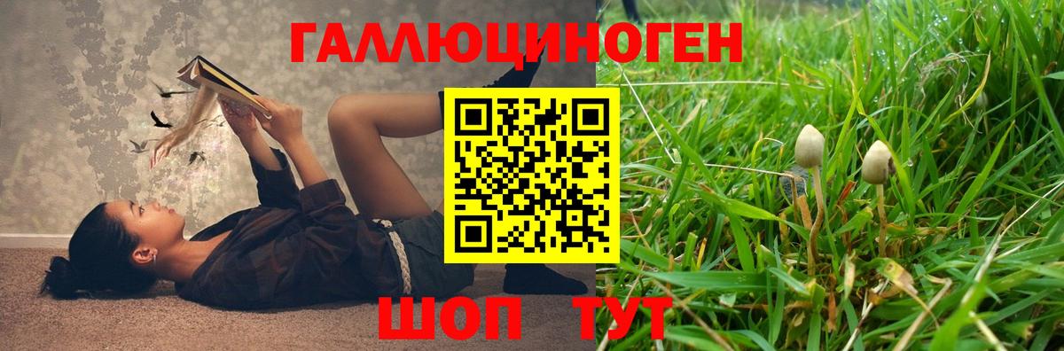 Галлюциногенные грибы Psilocybe  Вход с VPN  Аша 