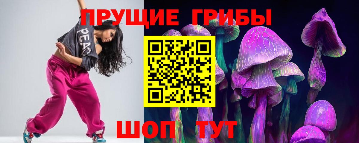 Галлюциногенные грибы Psilocybe Аша